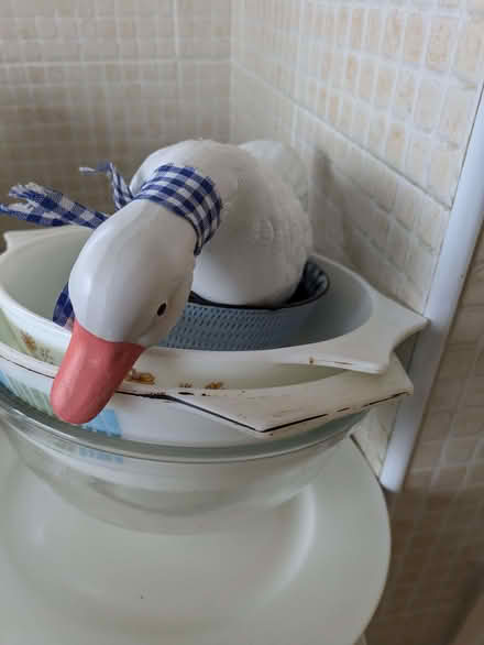 Photo of free Selection of kitchen stuff (Pant SY10) #3