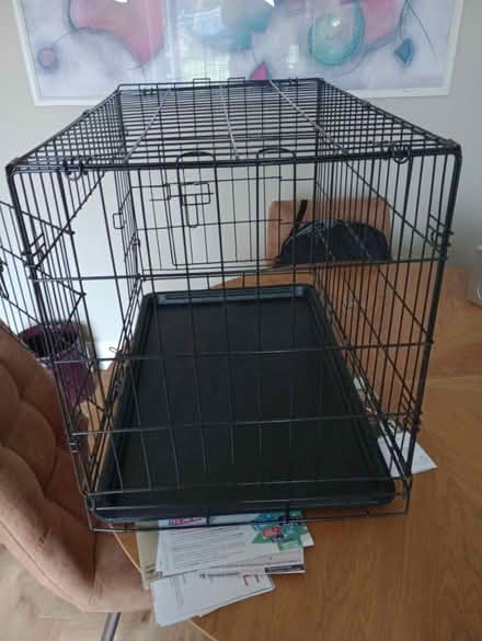 Photo of free Dog Crate (Park Drive TN34) #2