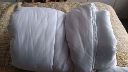 Photo of free Single Duvet (Burbage LE10) #1