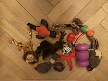Photo of free Dog toys (Farmoor OX2) #1