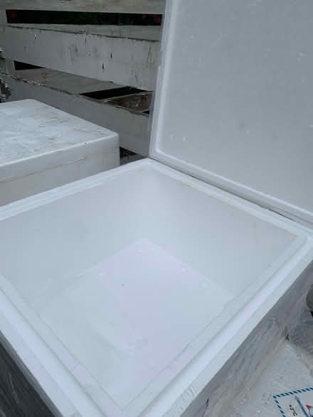 Photo of free Polystyrene boxes (SE9) #3