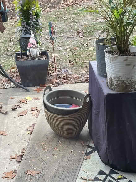 Photo of free Plants and pots (4 LAKES Village building 5820) #2