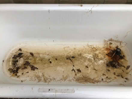 Photo of free Cast iron bath (Hampton Hill TW12) #4