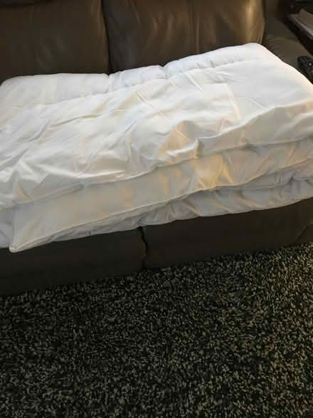 Photo of free 2 x single duvets 13.5 tog (Towcester NN12) #2