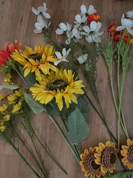 Photo of free Silk/crotchet Artificial flowers (Stanstead Abbotts SG12) #2