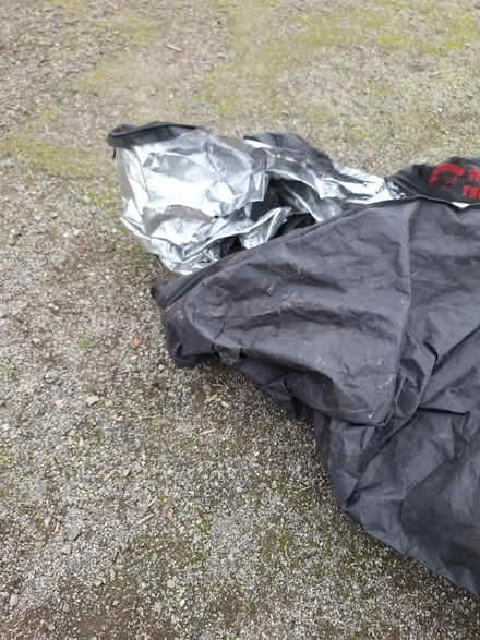 Photo of free Glow tent (S21) #1