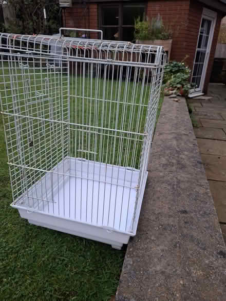Photo of free Large bird cage (rhayader) #1