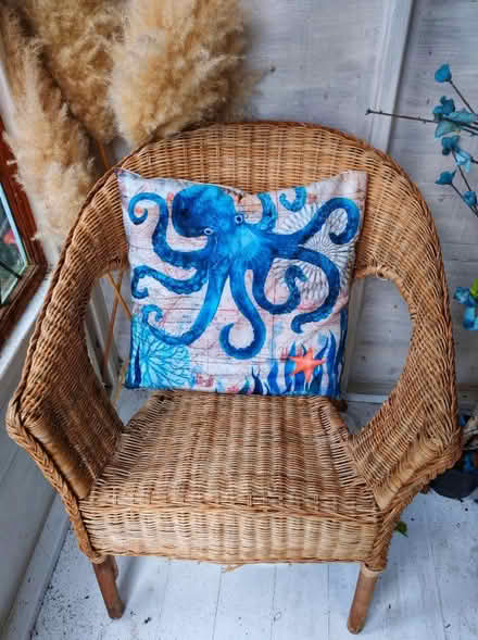 Photo of free Wicker chairs and two cushions (SY2) #1