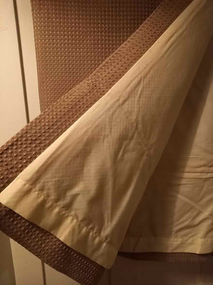 Photo of free Brown lined curtains (Conwy Town) #2