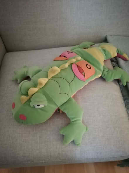 Photo of free Letter lizard (Chigwell IG7) #1