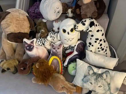 Photo of free Teddy bear/plush/cushions (KT22 Oxshott) #1