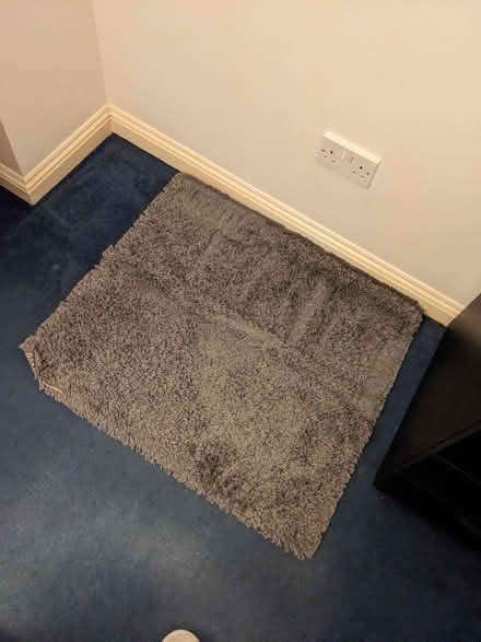 Photo of free Ikea square mini rug (Central Croydon CR0) #1