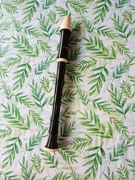 Photo of free Recorder (Chigwell IG7) #1