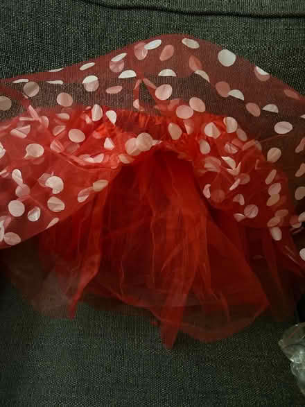 Photo of free Child’s party skirt (KT8 molesey) #2