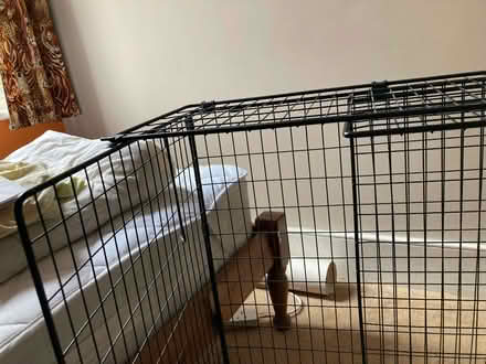 Photo of free Extending fireguard (Palmers Green N14) #2
