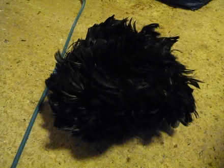 Photo of free Black feather hat (Upper Weston) #1