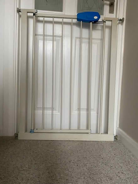 Photo of free Dog gate (Kettering NN15) #1