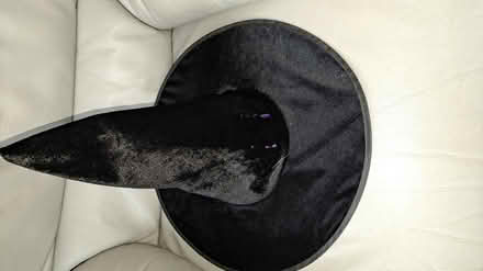 Photo of free Witches hats x2 (Sittingbourne ME10 area.) #1