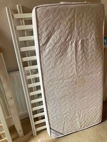 Photo of free Cot - white wood (Palmers Green N14) #3