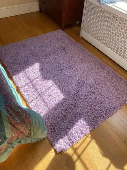 Photo of free Purple Rug 4 feet x 6 feet (N Cleveland Park/Tenleytown) #1