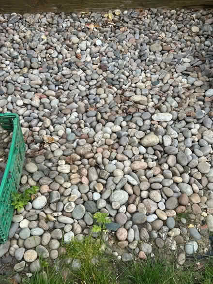 Photo of free Scottish garden pebbles (Bricket Wood AL2) #2