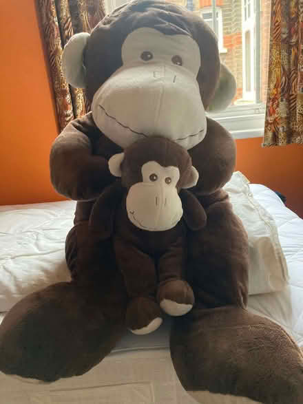 Photo of free Toys (Palmers Green N14) #3