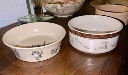 Photo of free Ceramic Cat Bowls. (Kendal LA9) #2