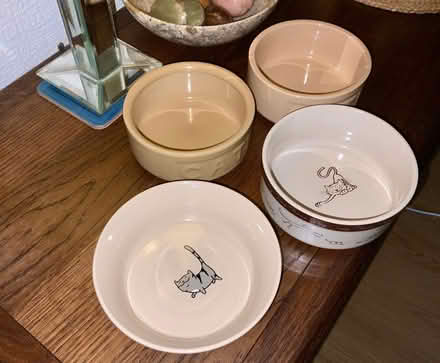 Photo of free Ceramic Cat Bowls. (Kendal LA9) #1