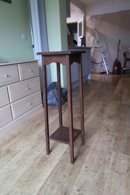 Photo of free Mahogany plant or phone stand (North Hinksey OX2) #1