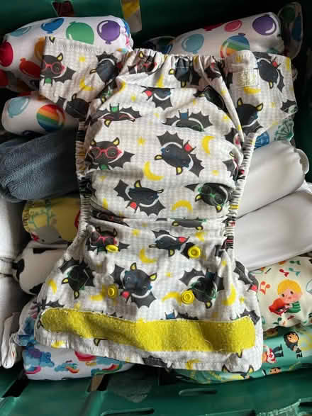 Photo of free Newborn (0-6months) cloth nappies (Manor castle, S2) #2