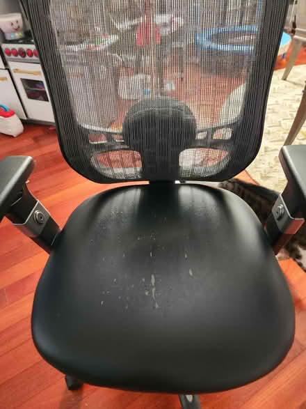 Photo of free Office chair (Gwynn Oak MD) #1
