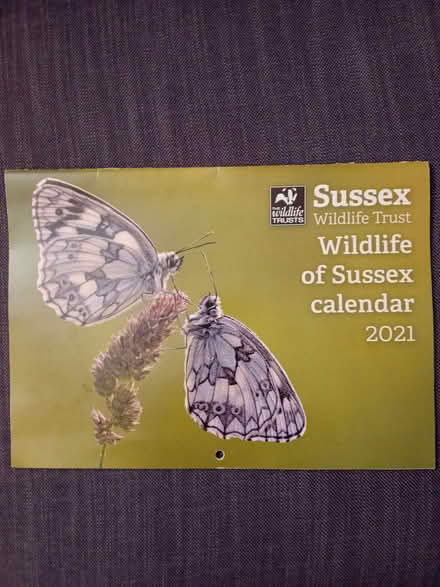 Photo of free 2021 wildlife calender (Eastbourne BN21) #1
