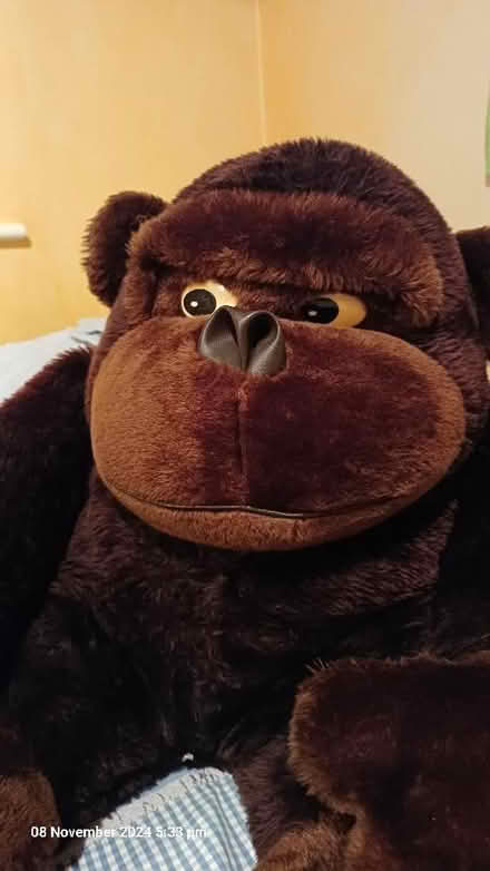 Photo of free Graham The Gorilla! (Theale RG7) #2
