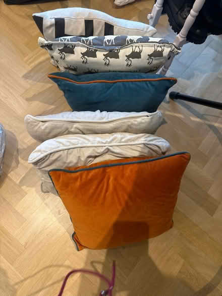Photo of free Mixed selection of cushions (Forest hill) #1