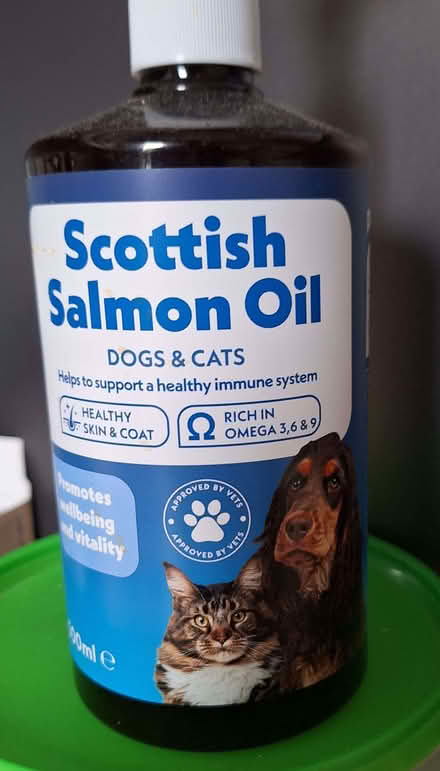 Photo of free Dog supplements (Seaside BN22) #3