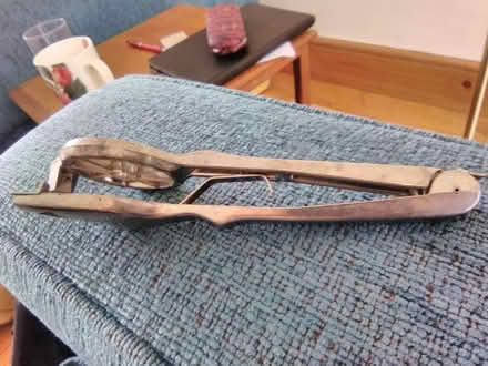 Photo of free Radish rose cutter (Fareham PO15) #4