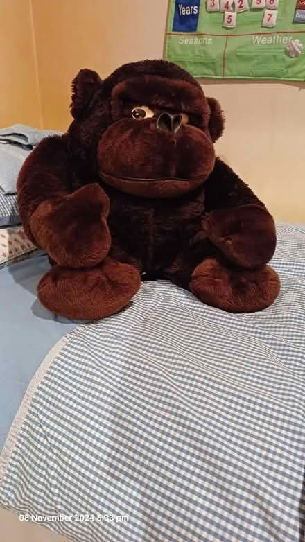 Photo of free Graham The Gorilla! (Theale RG7) #1