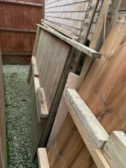 Photo of free Wood- shed panels (Colchester CO2) #3