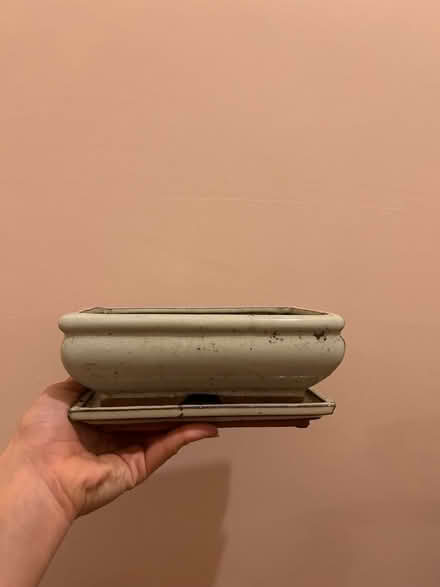 Photo of free Bonsai pots (Milton) #1