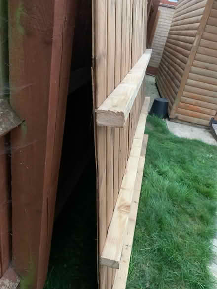 Photo of free Wood- shed panels (Colchester CO2) #4