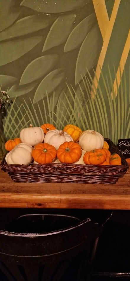Photo of free Pumpkins (Acton) #1