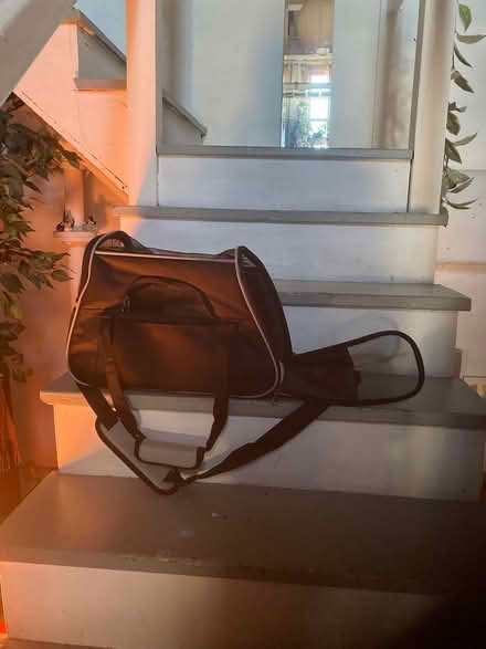 Photo of free small cat carrier (South Boston) #1
