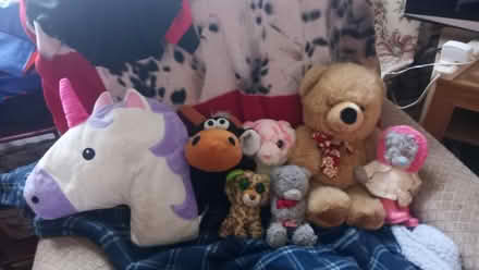 Photo of free Teddies (Kendal LA9) #1