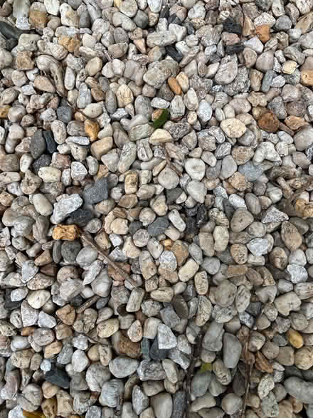 Photo of free Pebbles (Armadale) #1