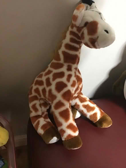Photo of free Giraffe and hare soft toys (Middleton Junction OL9) #2