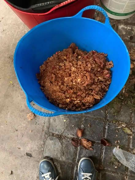 Photo of free Apple mash from Apple pressing (Lupton LA6) #1