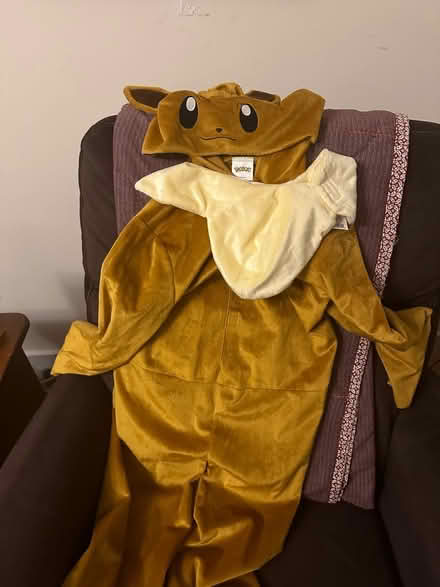 Photo of free Eevee costume (Harvard, MA) #1