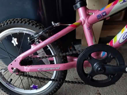 Photo of free Kids bike 16 inch (Buckstone EH10) #2