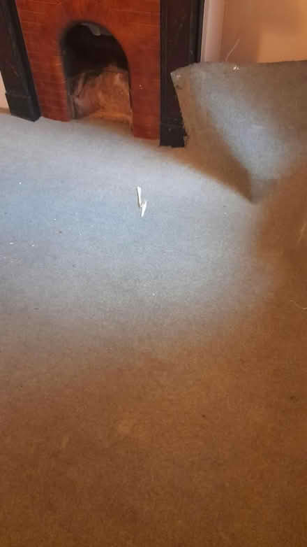 Photo of free Carpet (SN1 old town swindon) #3