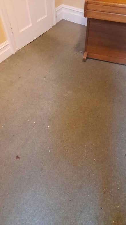 Photo of free Carpet (SN1 old town swindon) #2